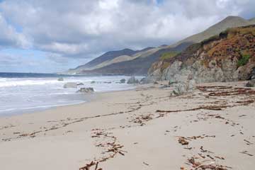 Garrapata Beach, Monterey, CA