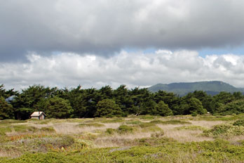 Manchester State Park campground, Mendocino County, CA