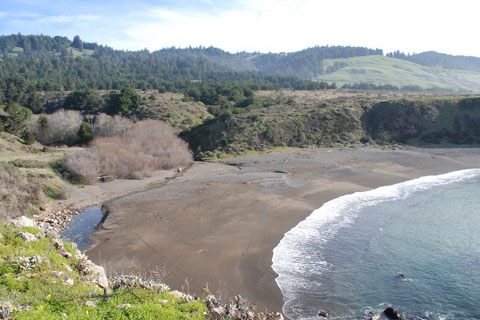 Sandy Cove Beach, Fort Ross State Historic park, CA