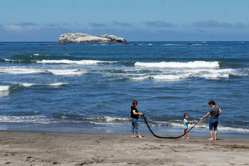 Trinidad Beach, Humboldt County, CA