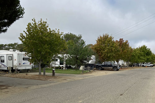 Pismo Beach campground, California