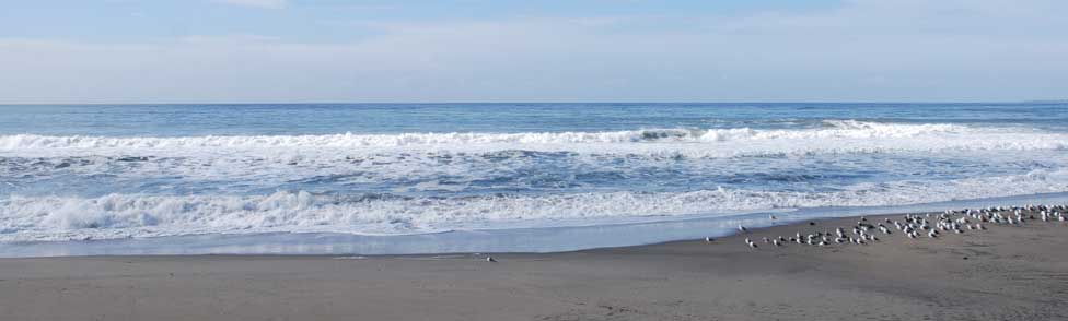 McGrath State  Beach, Ventura County, California