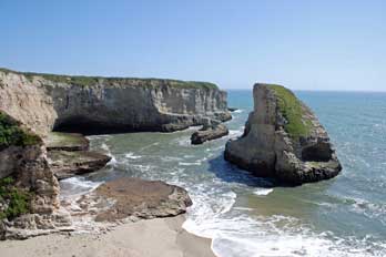 Shark Fin Cove (or Shark Tooth Beach, Davenport, CA